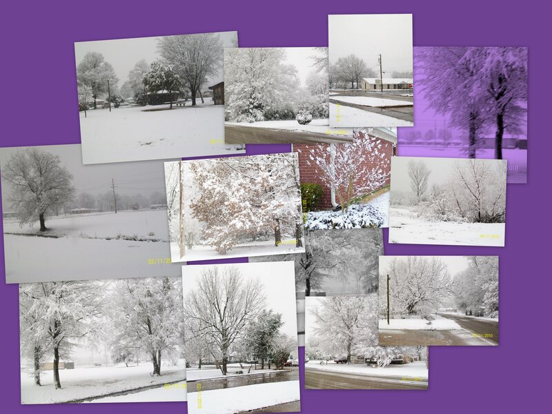snow-covered trees collage