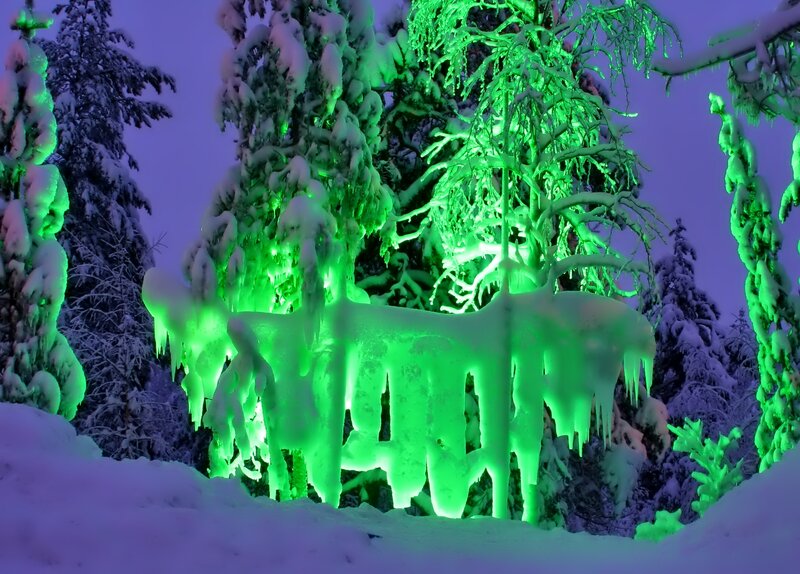 Snow-covered Trees — Green, Dramatic