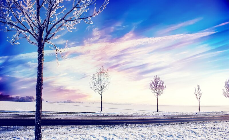 Snow-covered Trees in Field — Blue, Serene, Winter, Photograph, Road