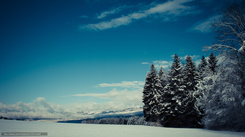 Snow-covered Trees in Field — Blue, Serene, Winter, Photograph, Snow, Mountains, Sky