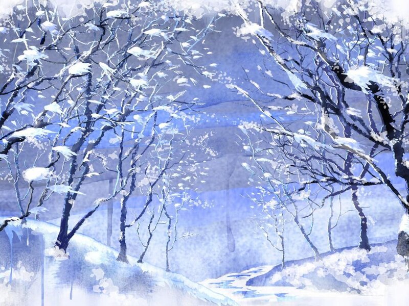 Snow-covered Trees in Forest