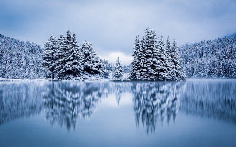 Snow-covered Trees in Lake — Blue, Serene, Winter, Photograph, Forest