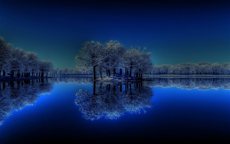 Snow-covered Trees in Lake — Blue