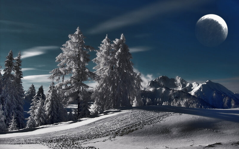 Snow-covered Trees in Mountains — Blue, Dramatic, Night