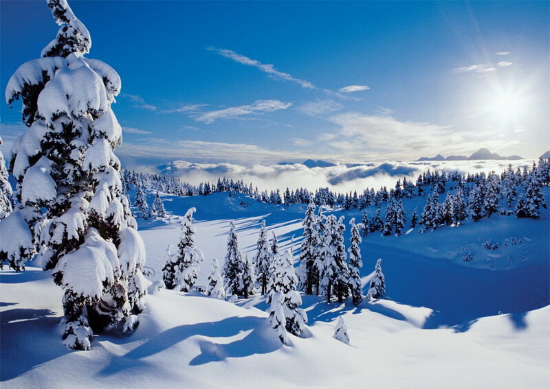 Snow-covered Trees in Mountains — Blue, Serene, Afternoon