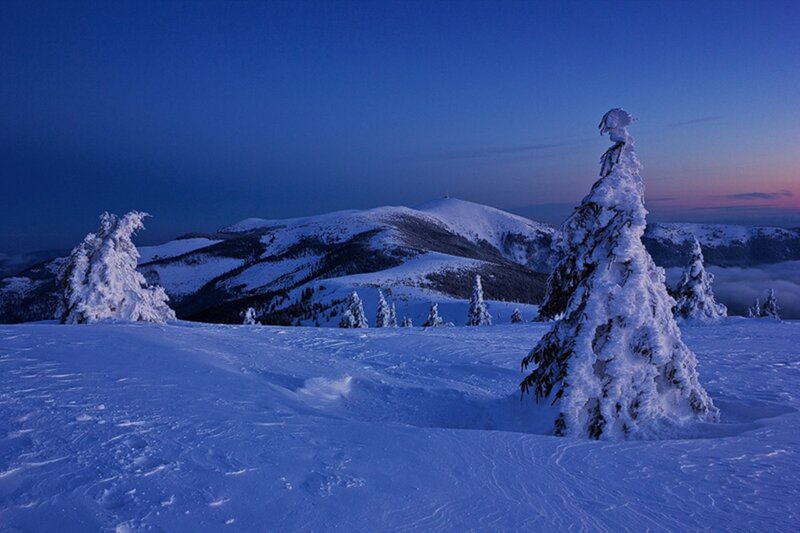 Snow-covered Trees in Mountains — Blue, Serene, Night