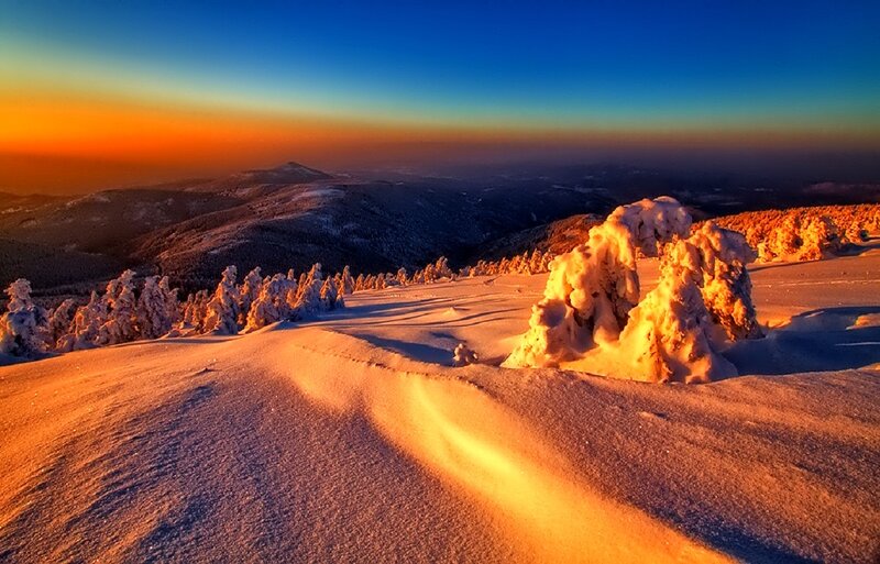 Snow-covered Trees in Mountains — Blue, Serene, Sunset, Photograph