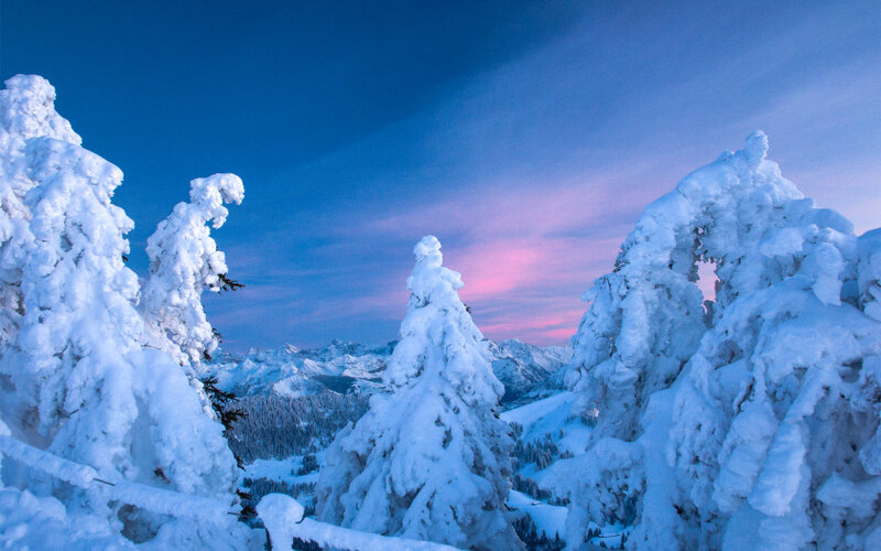 Snow-covered Trees in Mountains — Blue, Serene, Sunset