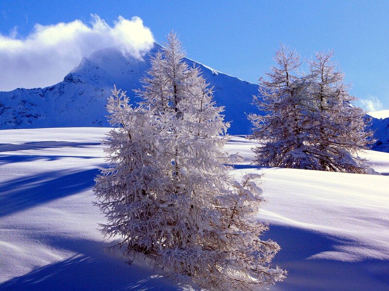 Snow-covered Trees in Mountains — Blue, Serene, Winter, Photograph, Clouds