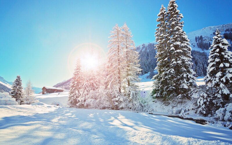 Snow-covered Trees in Mountains — Blue, Serene, Winter, Photograph, Sun, Mountain