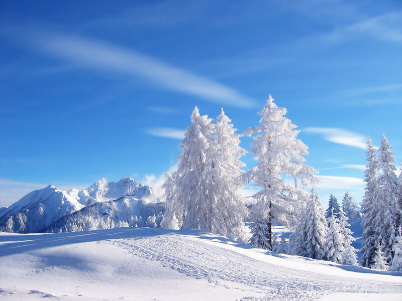 Snow-covered Trees in Mountains — Blue, Serene, Winter