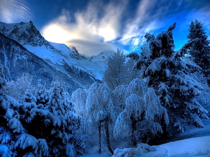 Snow-covered Trees in Mountains — Blue