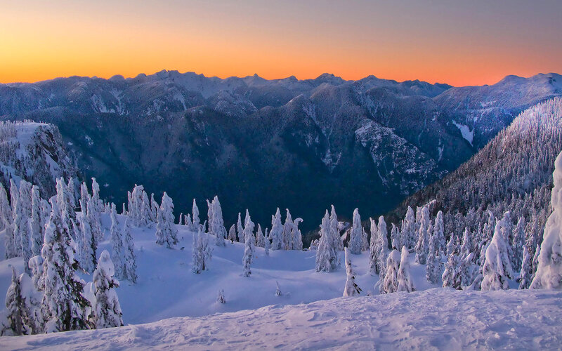 Snow-covered Trees in Mountains — Orange, Serene