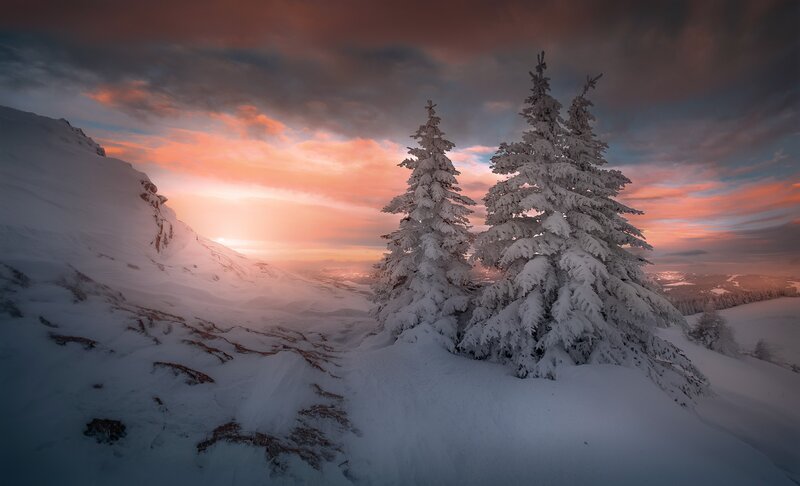 Snow-covered Trees in Mountains — White, Dramatic, Sunset, Photograph