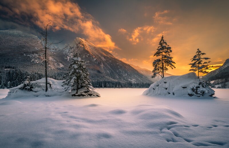 Snow-covered Trees in Mountains — White, Dramatic, Sunset