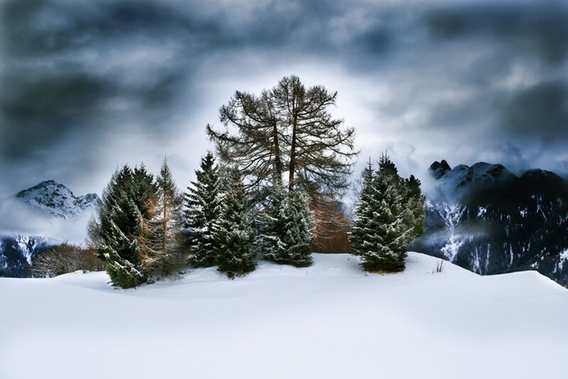 Snow-covered Trees in Mountains — White, Dramatic