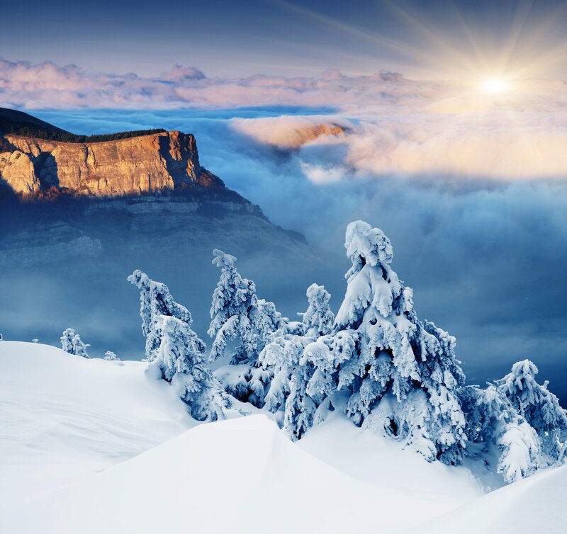 Snow-covered Trees in Mountains — White, Serene, Sunrise, Photograph