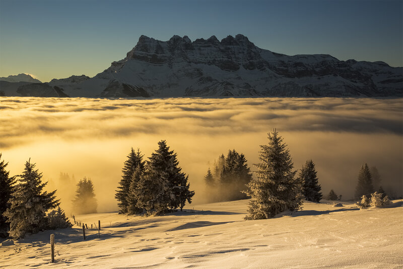 Snow-covered Trees in Mountains — White, Serene, Sunrise