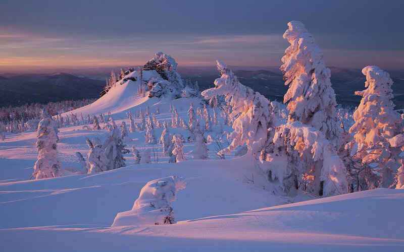 Snow-covered Trees in Mountains — White, Serene, Sunset, Photograph