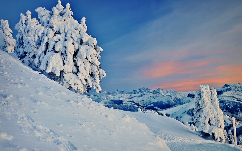 Snow-covered Trees in Mountains — White, Serene, Sunset