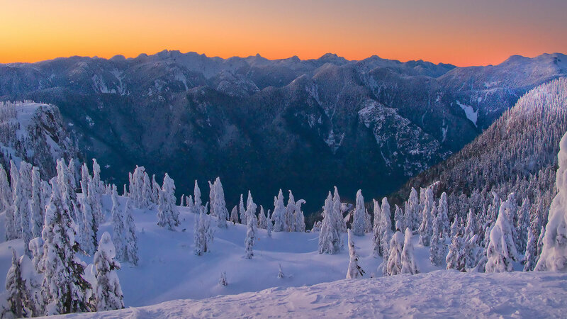 Snow-covered Trees in Mountains — White, Serene