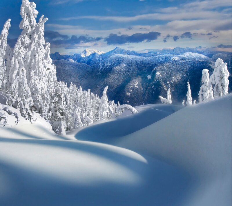 Snow-covered Trees in Mountains — White, Serene, Winter, Photograph, Sky, Blue