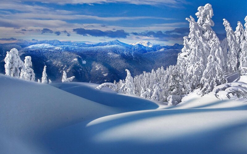 Snow-covered Trees in Mountains — White, Winter
