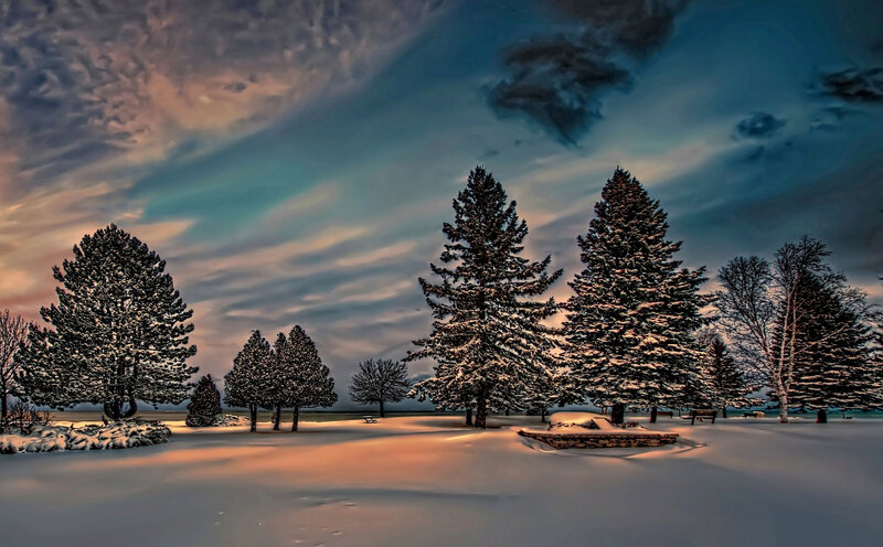 Snow-covered Trees in Park — White, Dramatic