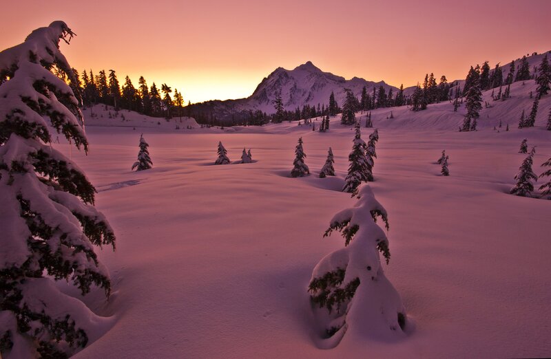 Snow-covered Trees in Valley — Pink, Serene, Sunset