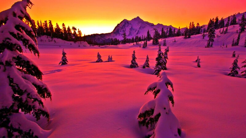 Snow-covered Trees in Valley — Red, Dramatic