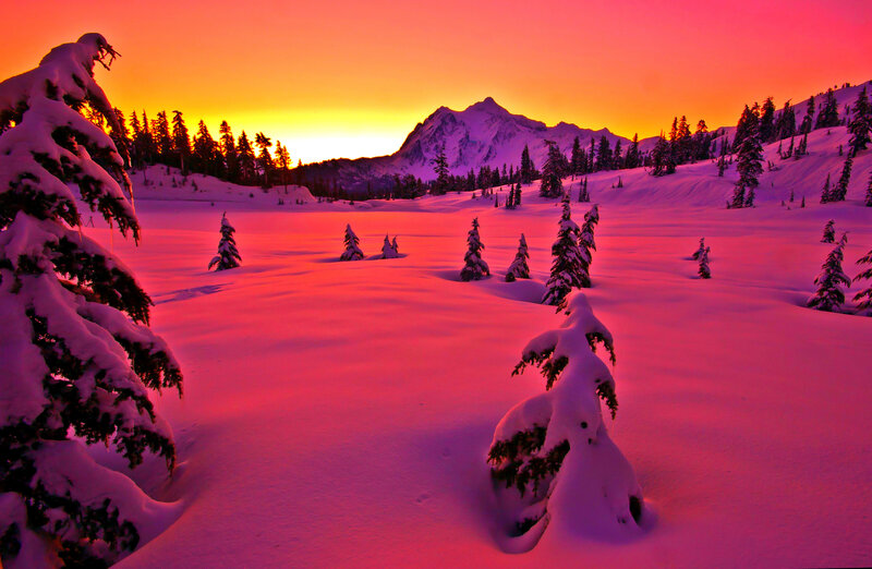 Snow-covered Trees in Valley — Red
