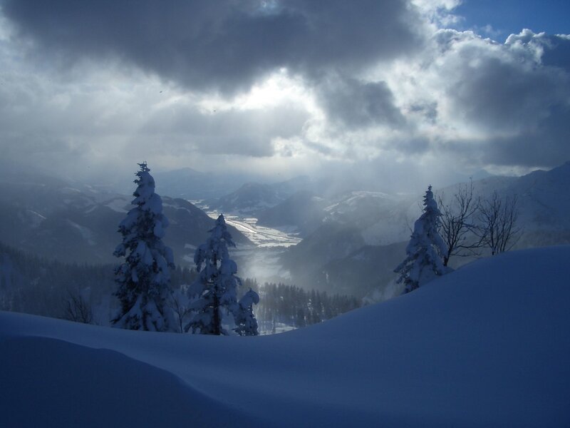 Snow-covered Trees in Valley
