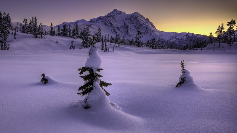 Snow-covered Trees in Valley — White, Serene, Sunset, Photograph