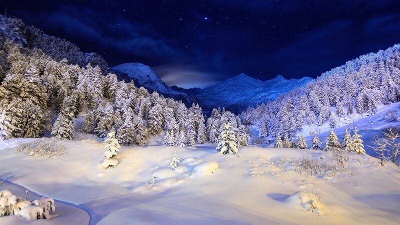 Snow-covered Trees in Valley — White, Serene