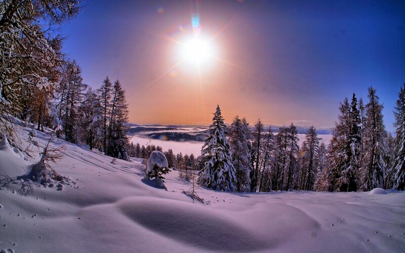 Snow-covered Trees in Valley — White, Serene, Winter