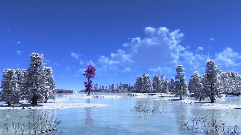 Snow-covered Trees in Water — Blue, Serene, Winter