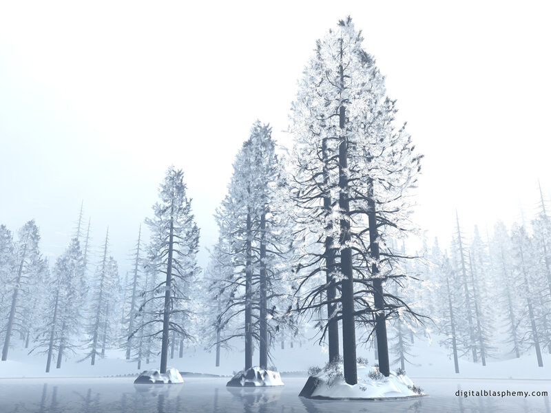 Snow-covered Trees in Water