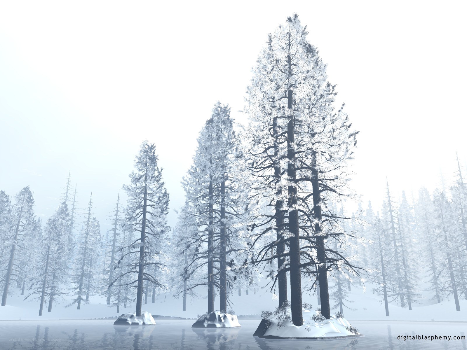 Snow-covered trees in winter