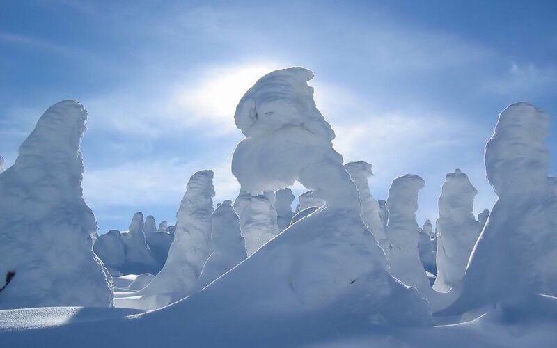 Snow-covered trees in winter