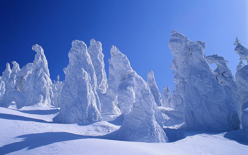 Snow-covered trees in winter