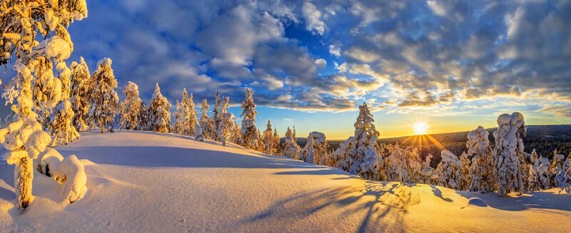 Snow-covered Trees in Winter — Blue, Serene, Photograph, Sun, Clouds