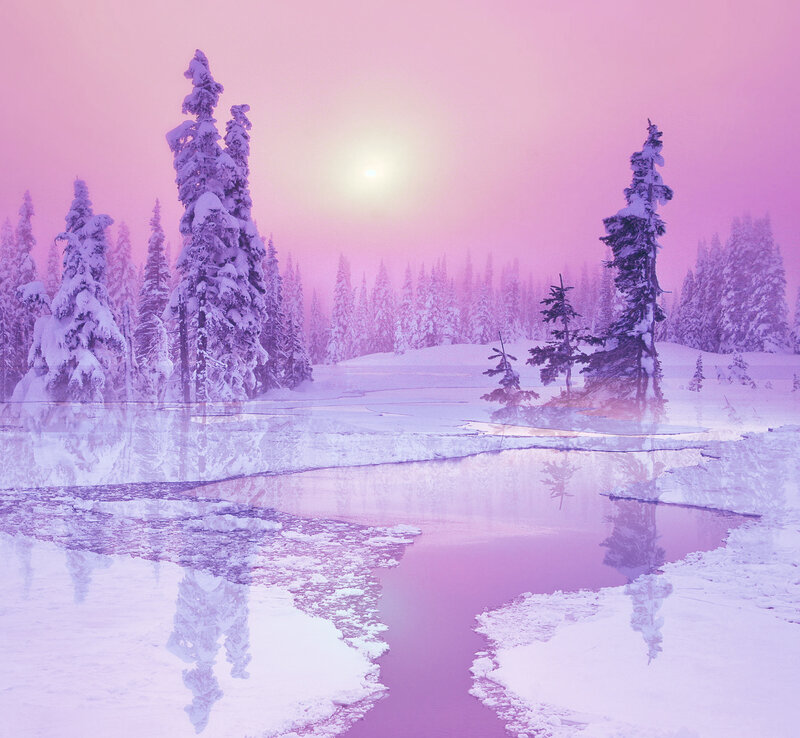 Snow-covered Trees in Winter — Pink, Serene