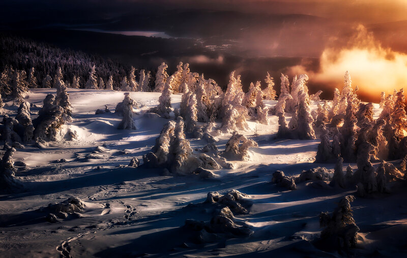 Snow-covered Trees in Winter — White, Dramatic, Photograph, Snow, Mountains