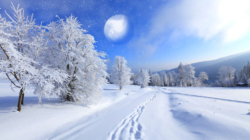 Snow-covered Trees in Winter — White, Serene, Digital Art, Moon