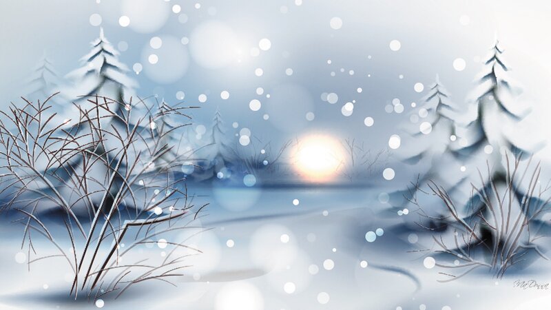 Snow-covered Trees in Winter — White, Serene, Digital Art, Sun