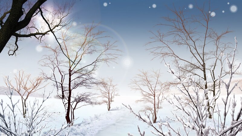 Snow-covered Trees in Winter — White, Serene, Digital Art