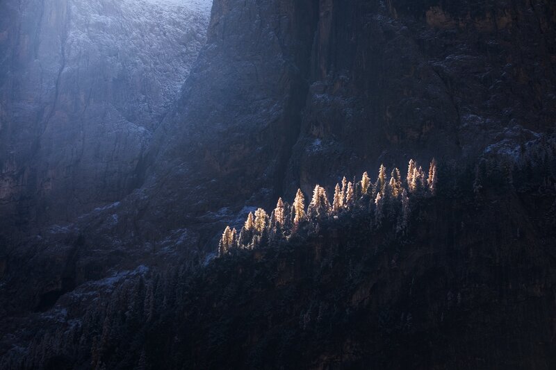Snow-covered Trees on Cliff