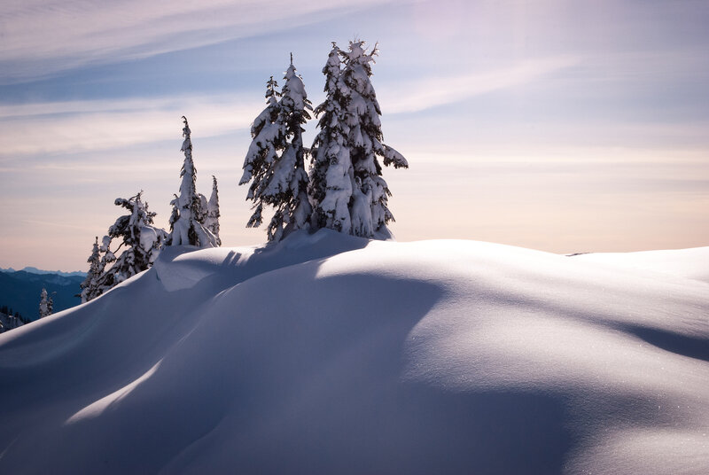 Snow-covered Trees on Hill — White, Serene, Winter, Photograph