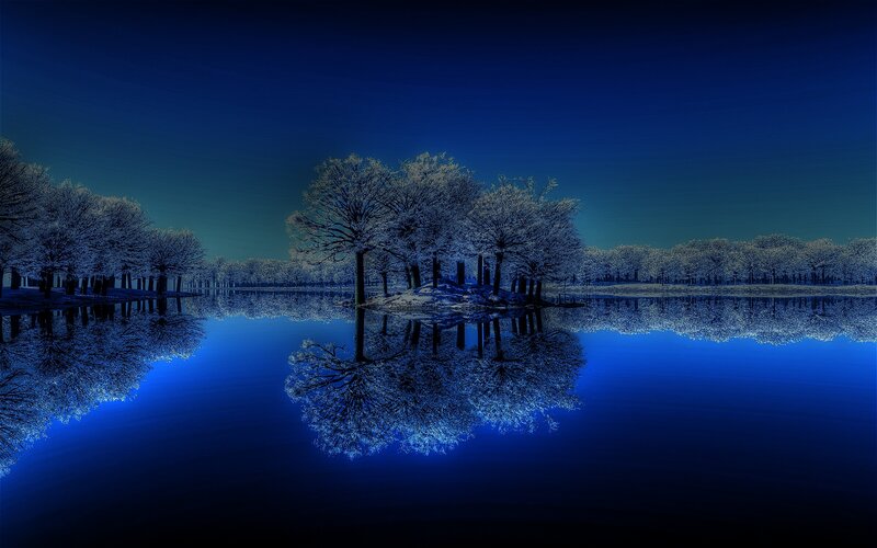 Snow-covered Trees on Island — Blue, Serene