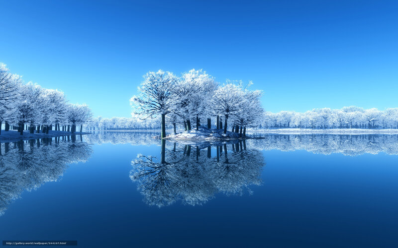 Snow-covered Trees on Island — Blue, Serene, Winter, Digital Art